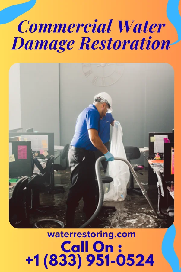 Commercial Water Damage Restoration in Taos, NM