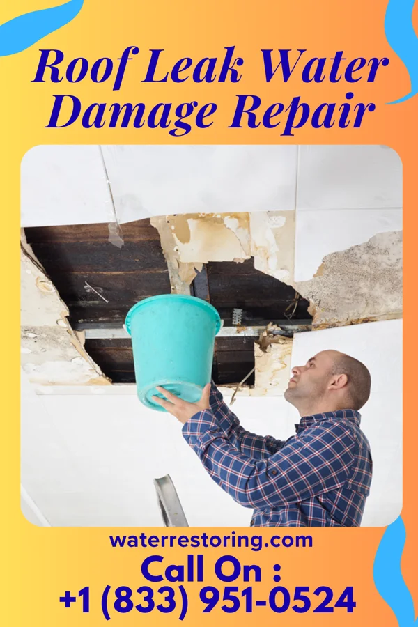 Roof Leak Water Damage Repair in Taos, NM